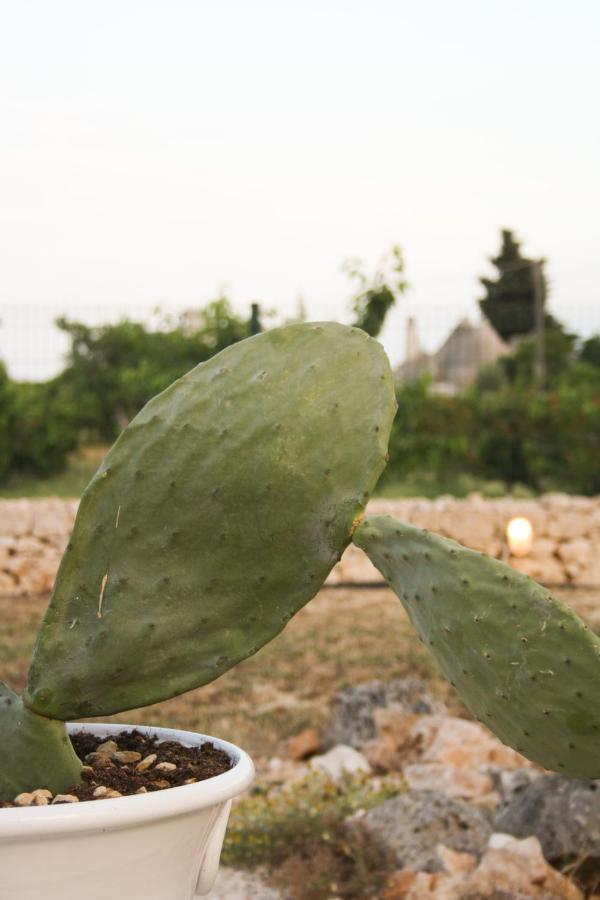 EnjoyTrulli - Countryside Villa Noci Eksteriør bilde