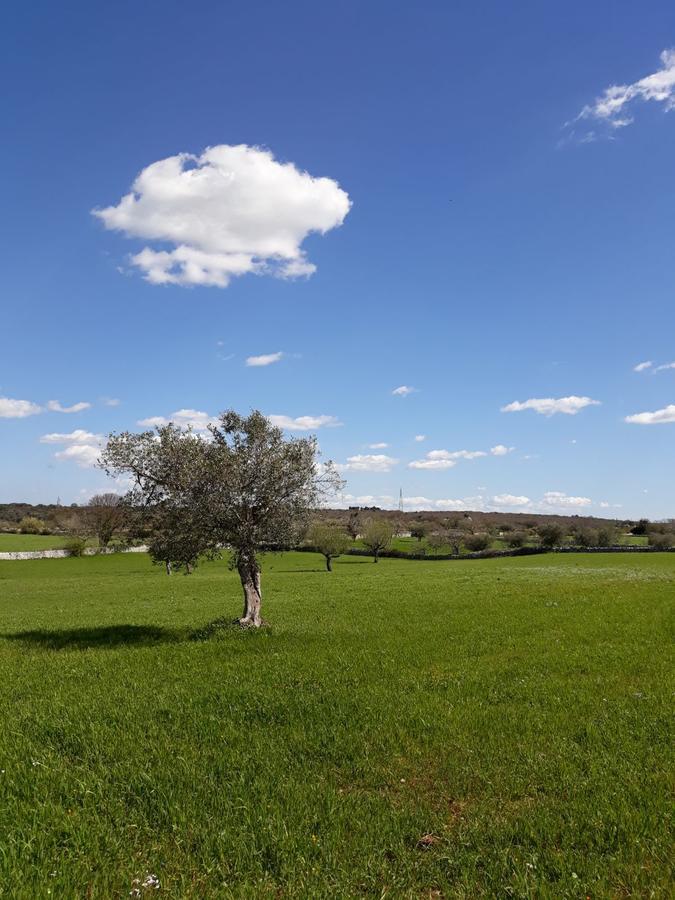 EnjoyTrulli - Countryside Villa Noci Eksteriør bilde